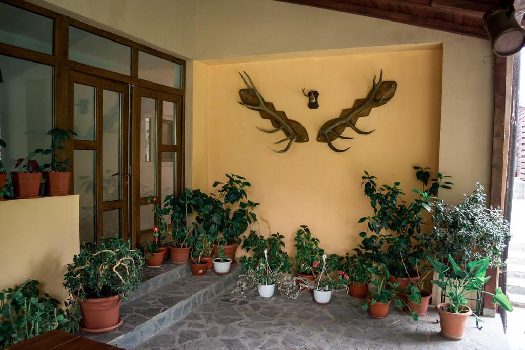 Pensiunea Bujorul Comana Exterior photo